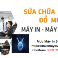 Đổ Mực Quận Gia Lâm