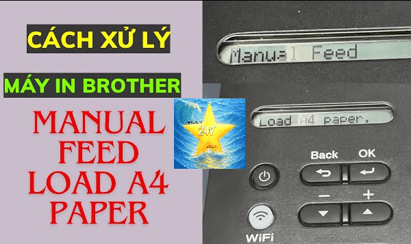 Máy In Báo Lỗi Manual Feed Load Paper: Nguyên Nhân và Cách Khắc Phục Hiệu Quả