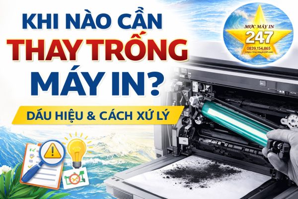 Khi Nào Cần Thay Trống Máy In? Dấu Hiệu & Cách Nhận Biết Chính Xác